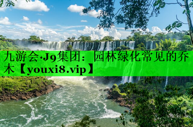 园林绿化常见的乔木